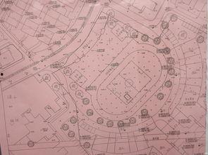 中花校园最新版爆料视频,揭秘校园风云与青春故事  第2张